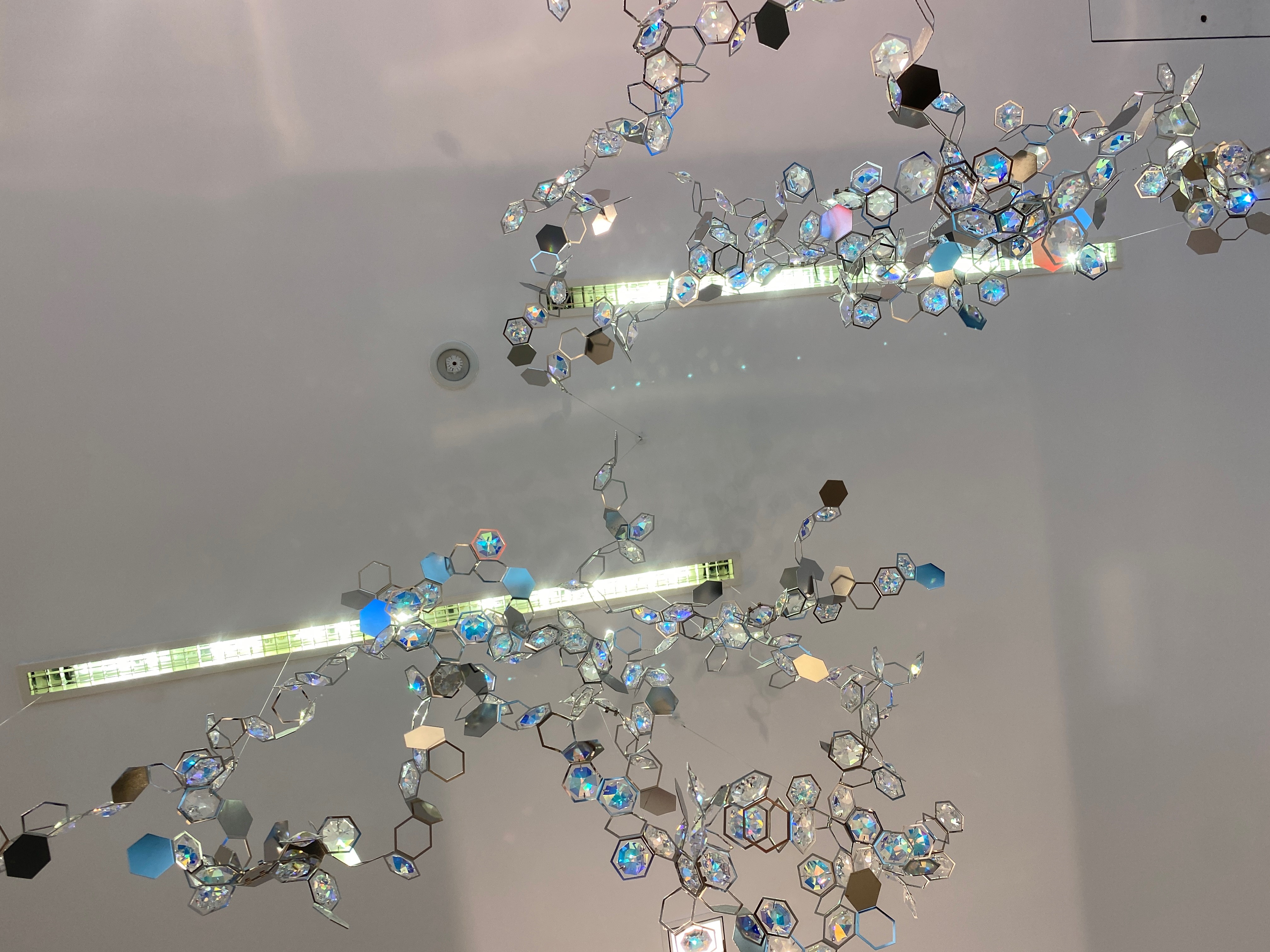 Any issues found onsite please take photos and upload here